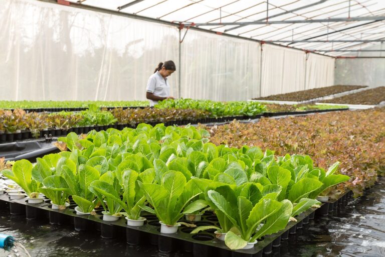 VB: Pionier in Aardwarmte met Innovatieve Oplossingen voor Duurzaamheid